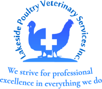 Company Logo 21