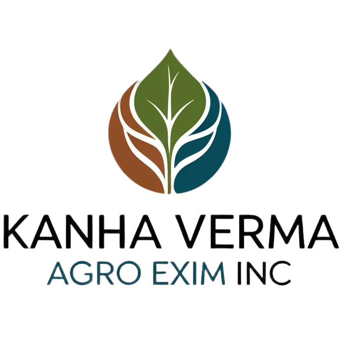 Company Logo 4
