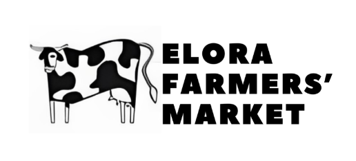 Company Logo 13