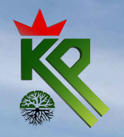 Company Logo 17